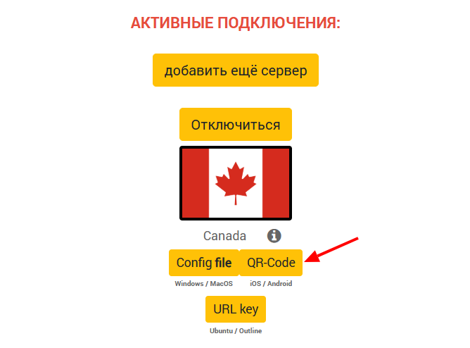 скачивание QR.png